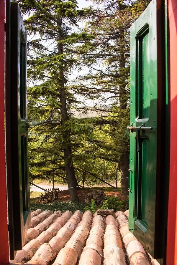 Bed & Breakfast B&B Case Granelli Salsomaggiore Terme